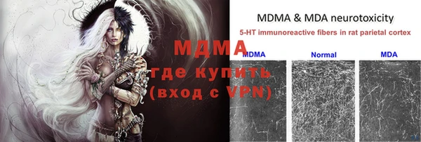 PSILOCYBIN Весьегонск